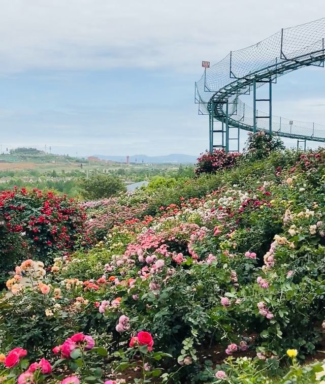 04女大學生嘅漫花莊園.冇女仔可以拒絕嘅花莊園