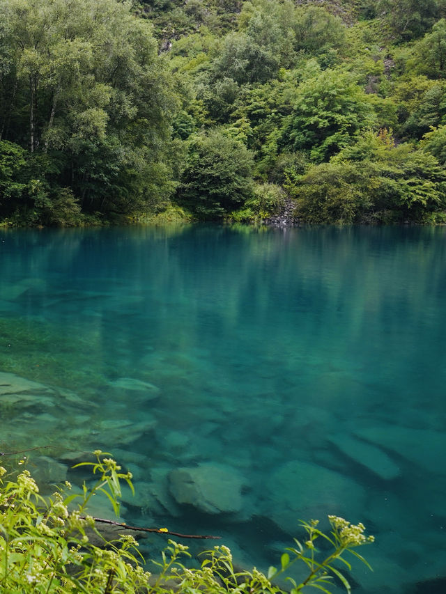 各位朋友！夏天嘅川西旅行天花板又有新玩法啦！