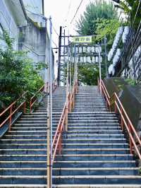 隱於都市的靜謐神社選物