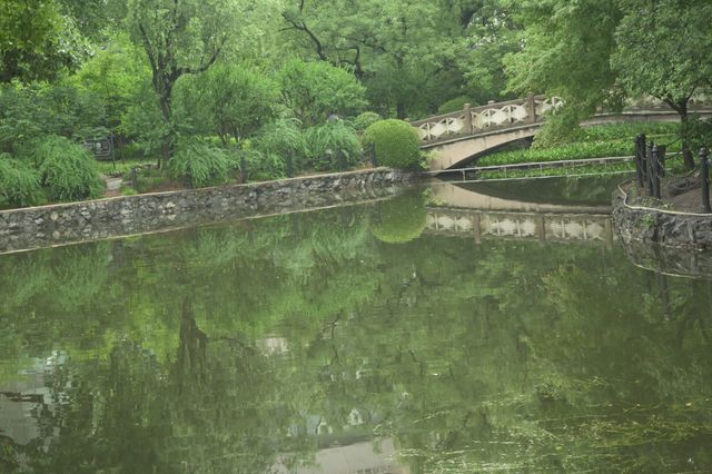 上海の魯迅公園で地元の方々の暮らしを感じて、緑いっぱい浴びてリラックス