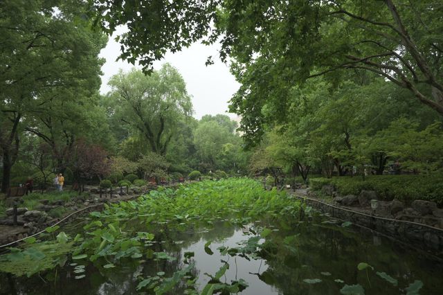 上海の魯迅公園で地元の方々の暮らしを感じて、緑いっぱい浴びてリラックス