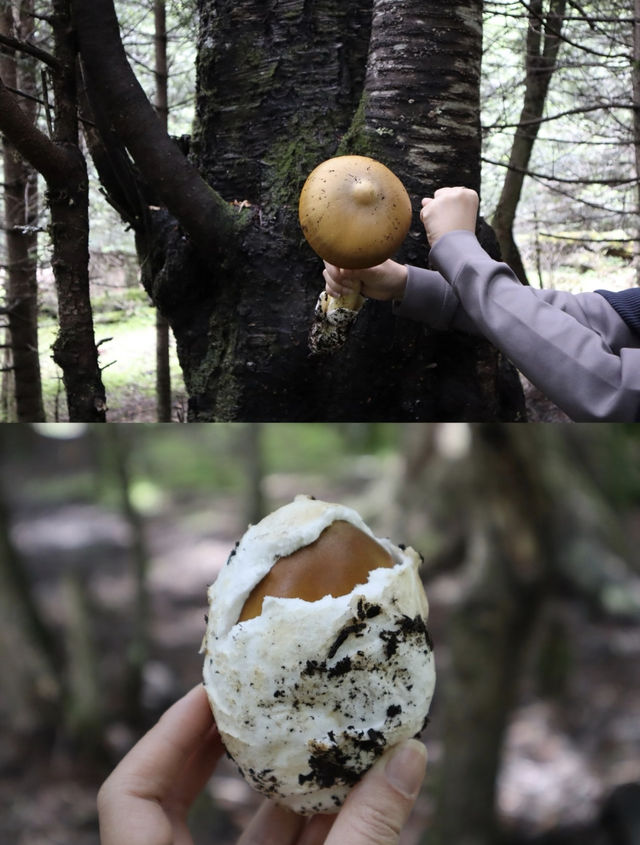 喺雨崩除咗行山，仲有咩隱藏玩法？