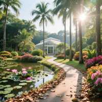 廈門植物園藏住神級打卡位！快衝！