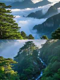 廬山漫遊｜闖入22℃的綠光森林