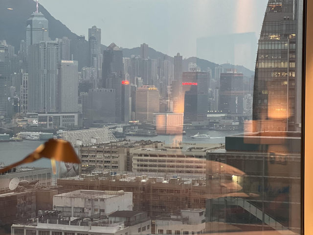 ✨香港尖沙咀凱悅｜環球客實測來了～🏨