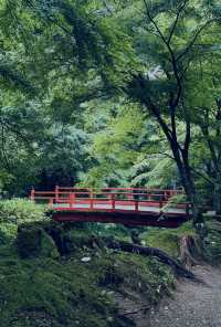#京都三千院