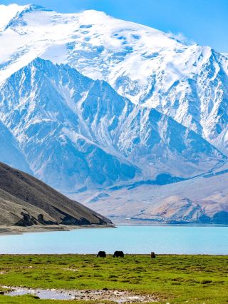 The Ultimate Guide to Baisha Lake North Shore! A Free Oil Painting World