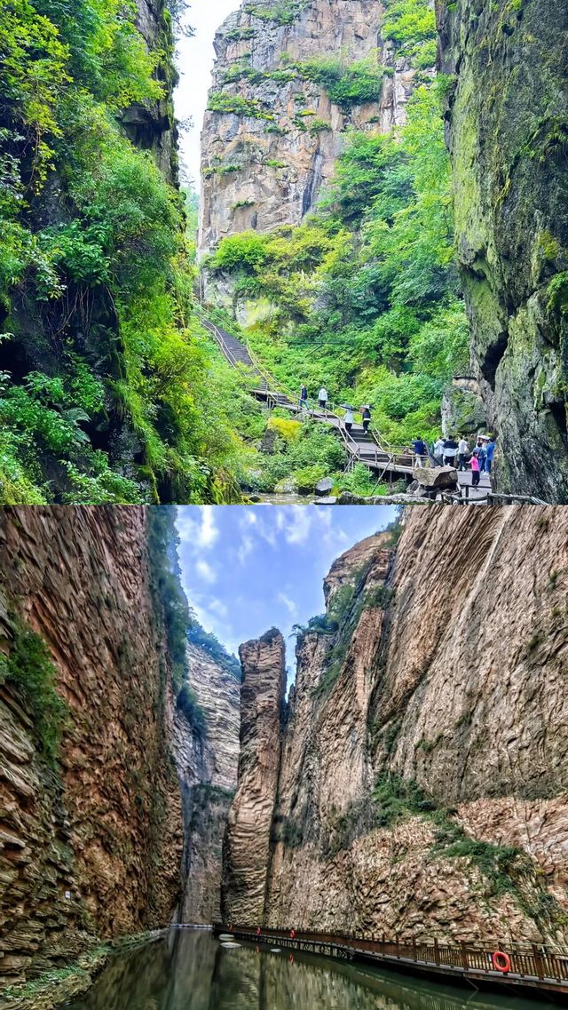 伊春已回我的建議係……