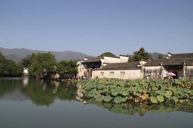 西遞宏村 一個古老嘅地方 蘊含住濃厚嘅人文氣息