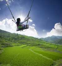 Discover Bali’s Top 5 Rice Terrace Views! 📷