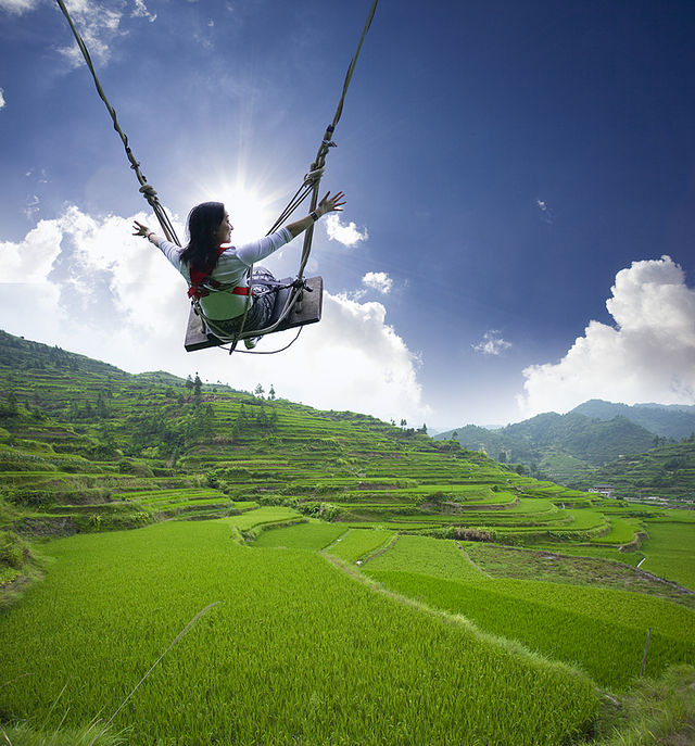 Discover Bali’s Top 5 Rice Terrace Views! 📷