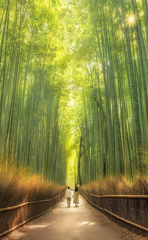 5 Hidden Kyoto Gems You Don't Want to Miss! 🌺