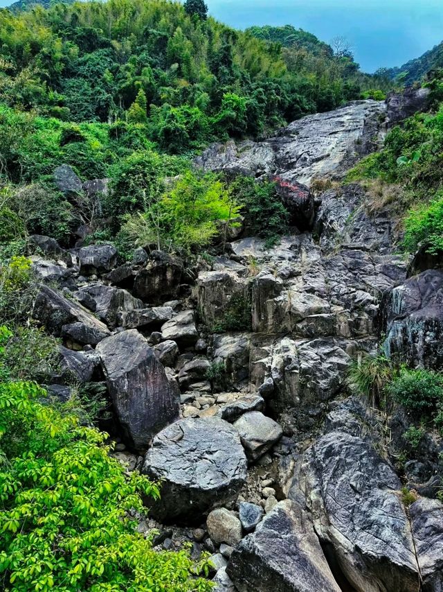 夏日消暑勝地實錘冷氣費都慳返