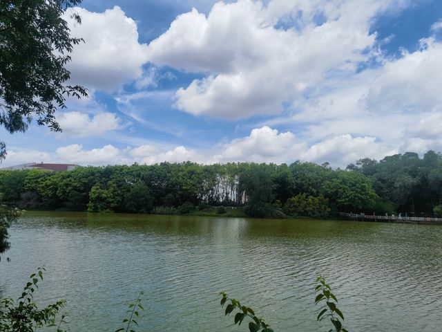隱藏於白雲山麓嘅翡翠秘境