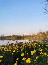 Shanghai World Expo Cultural Park | A Relaxing Weekend Getaway 🌿