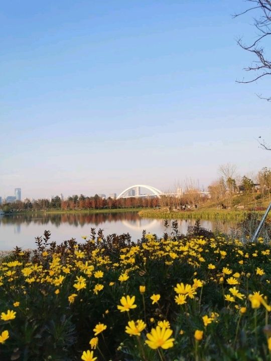 Shanghai World Expo Cultural Park | A Relaxing Weekend Getaway 🌿