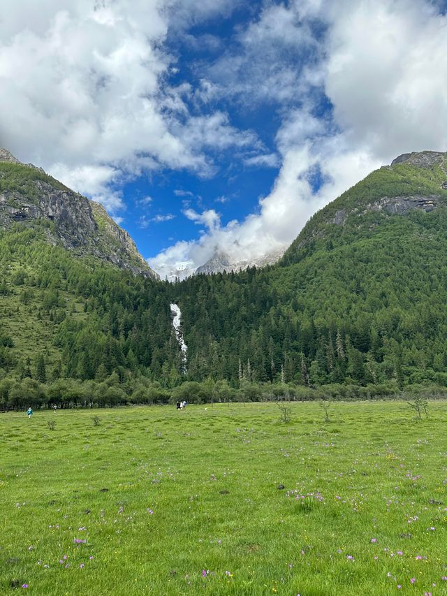六月份四姑娘山最強攻略，雪山花海一站式全體驗