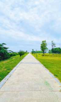 夏日暢遊煙台牟平沁水河口國家濕地公園