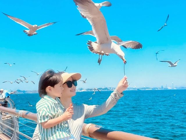 7-8月暑假帶娃出遊，最適合去呢6個避暑旅行地！