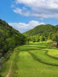 住進稻田裏的仙境酒店—文宗古村