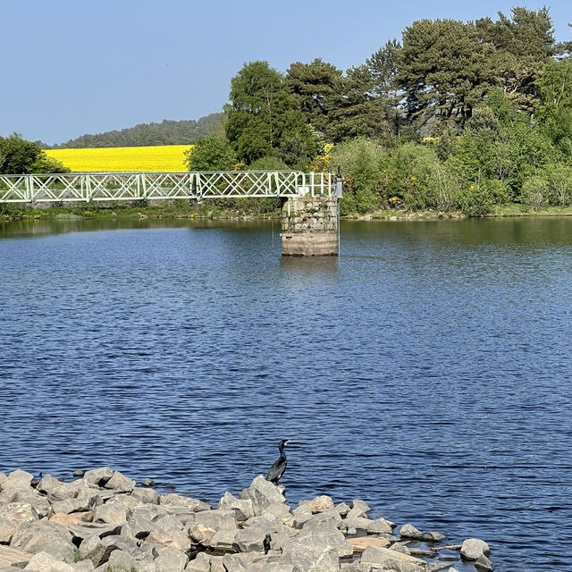 The Reservoirs of the Pentland Hills - Edinburgh!