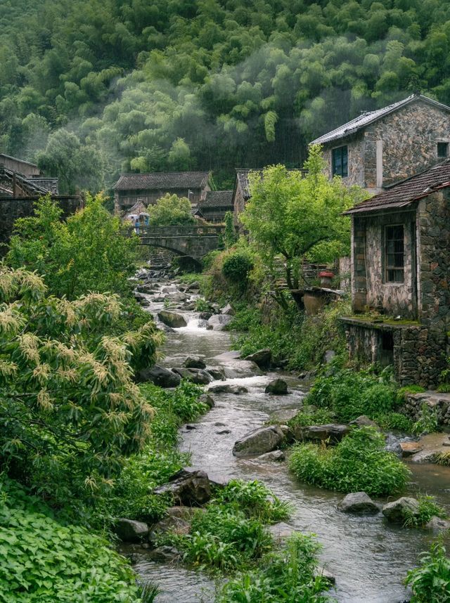 去麗水縉雲反向遊，先至知道白雲深處真係有人家！