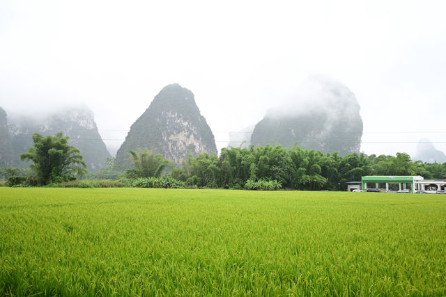 雲霧山中起，仙境數十里！