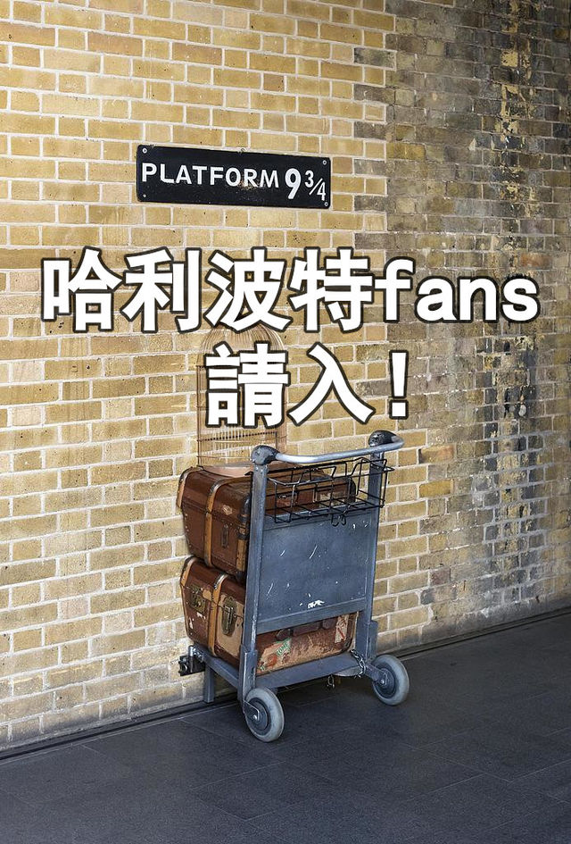 哈利波特「禁忌森林」之旅要開到深圳啦!🧙♂️ 哈利波特「禁忌森林」之旅要開到深圳啦!🧙♂️