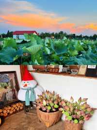 蕪湖夏日限定：荷花咖啡與市中心度假