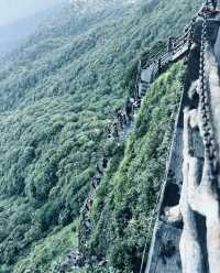 雲霧仙境蘑菇石