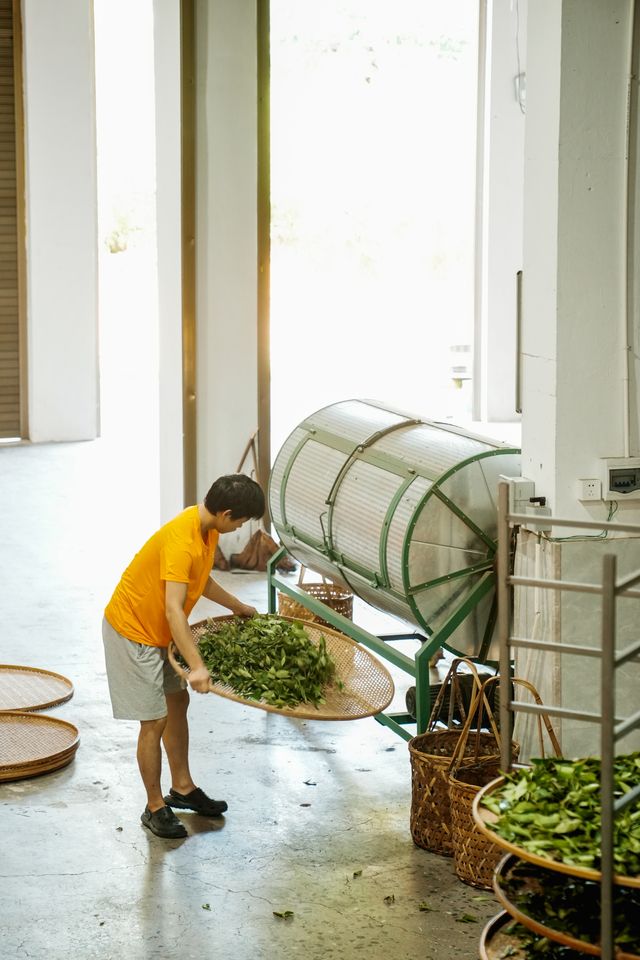夏日武夷，揭秘岩茶誕生的「心」旅程