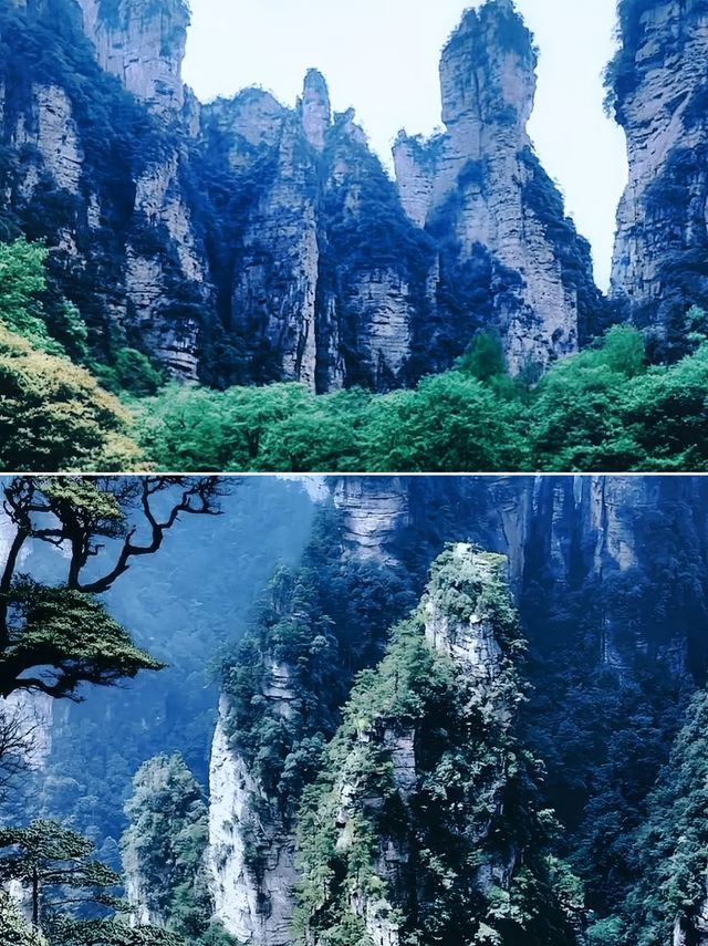 避暑勝境張家界
