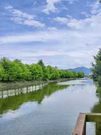 逆水飛翔，宜蘭冬山河的親子激流趣
