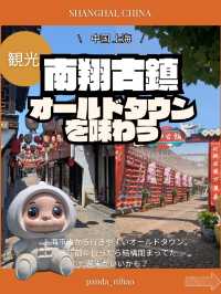 🇨🇳上海近郊のオールドタウン