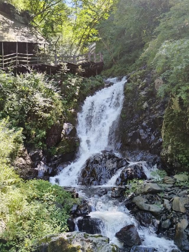 黑龍江五常鳳凰山旅行 黑龍江五常鳳凰山旅行