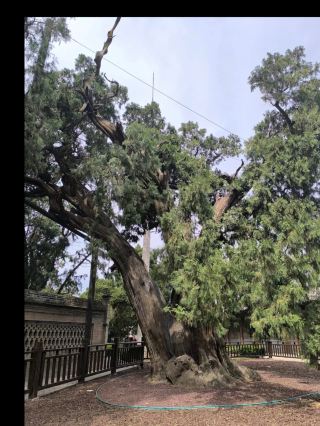 산시 바이수이 숨겨진 플레이 대공개