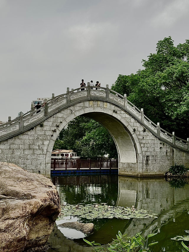 Lychee Park Shenzhen