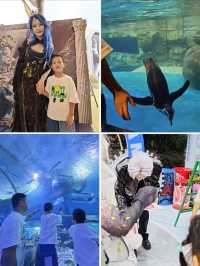 國慶反向遛娃!武漢一站式度假區太棒啦!