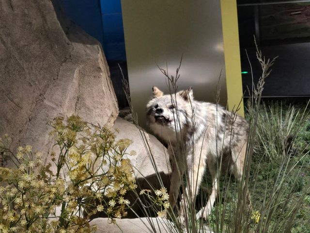 克州博物館