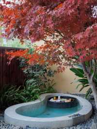 I found a hotel at Qingcheng Mountain where you can enjoy hot springs, barbecues, and camping