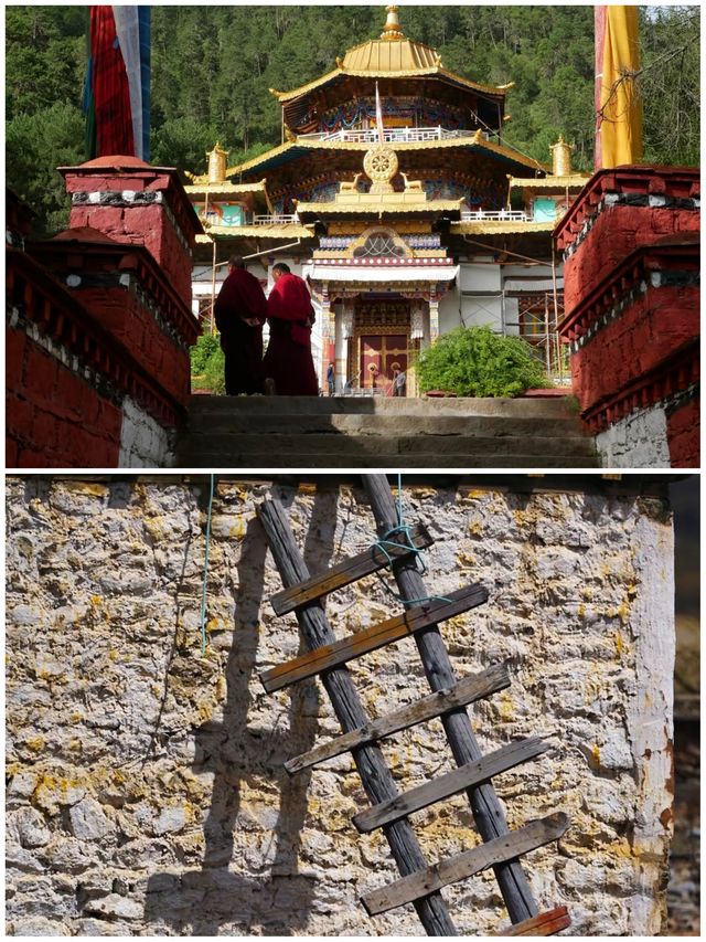 學生黨&全家遊：林芝3個高性價比景點攻略