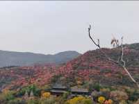 太原蒙山大佛｜秋日限定震撼陰雨天更出片！