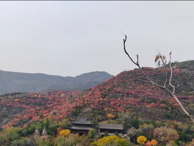 太原蒙山大佛｜秋日限定震撼陰雨天更出片！