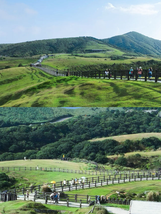 玩轉台北後花園！陽明山國家公園超全攻略