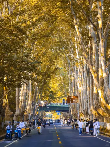 久違的一場雨，讓我遇見老門東最美時刻