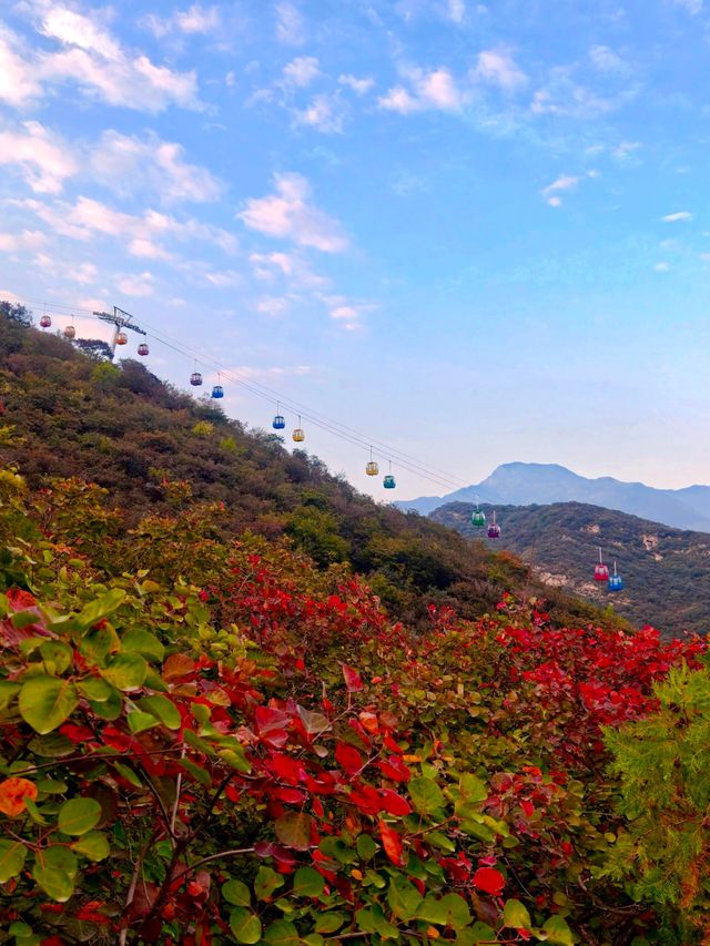 北京坡峰嶺｜絕美紅葉天花板秋天必衝！