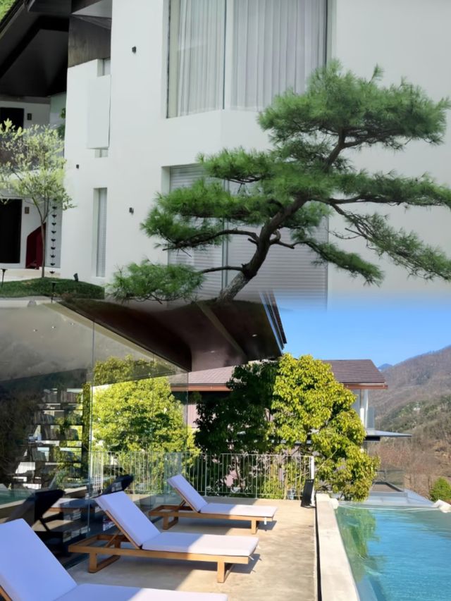 安康茶山下的小院民宿已美到next level..
