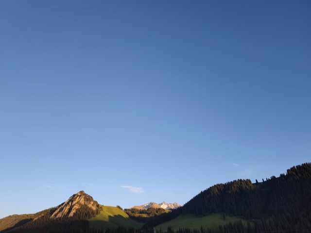 新疆唐布拉十里畫廊｜房車露營+草原治癒之旅