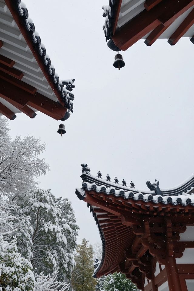 雪後嵩山｜走進中原仙境的N種絕美打開方式！