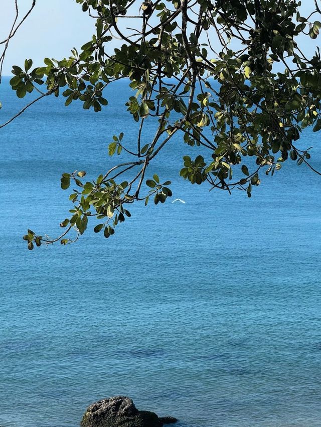 深圳官湖村絕美日落海景房礁石野灘上的神仙美宿！